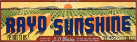 Rayo Sunshine